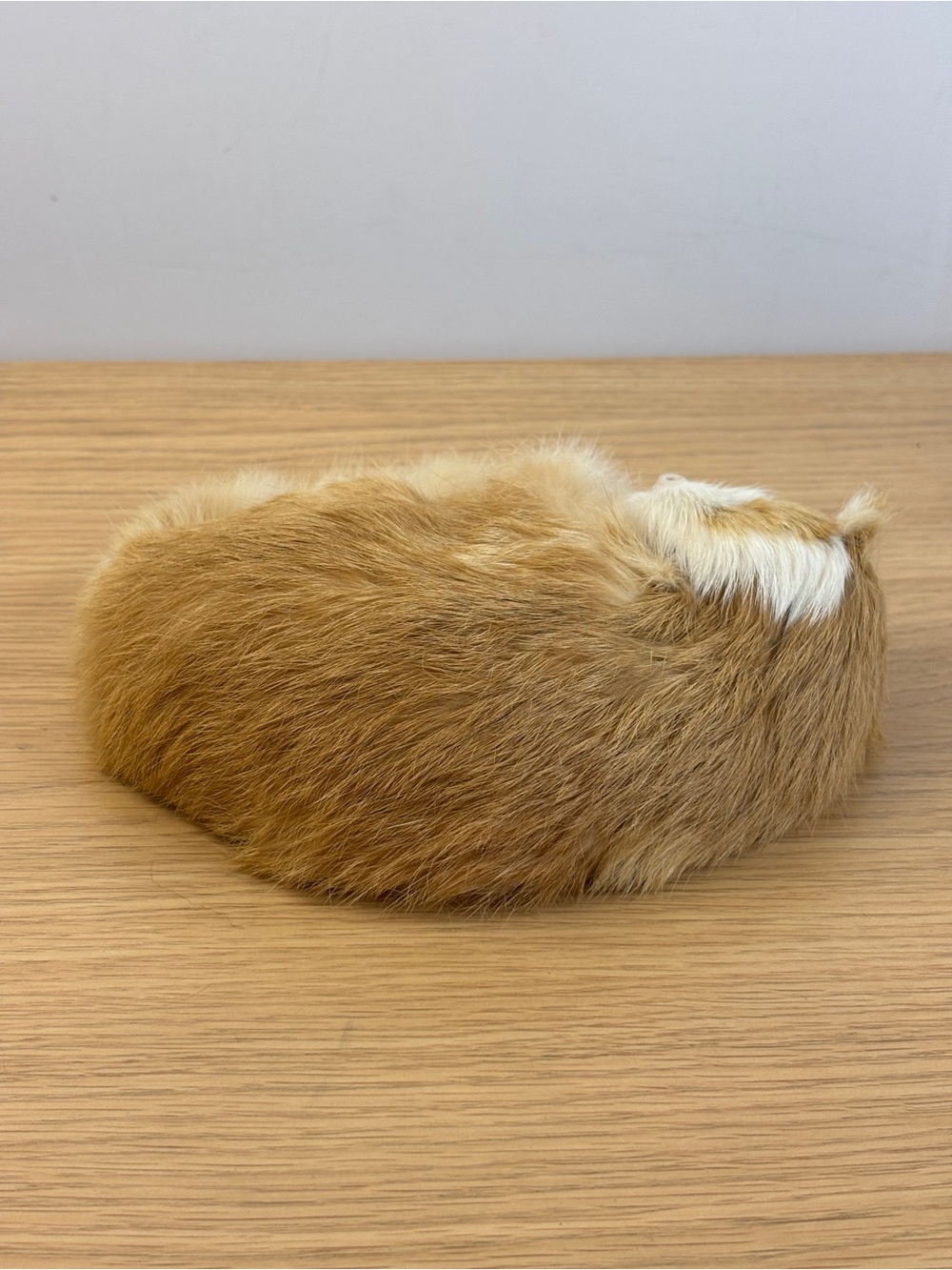 Realistic Sleeping Soft Faux Fur Kitten Figurine - Ginger & White - Picture 5 of 8